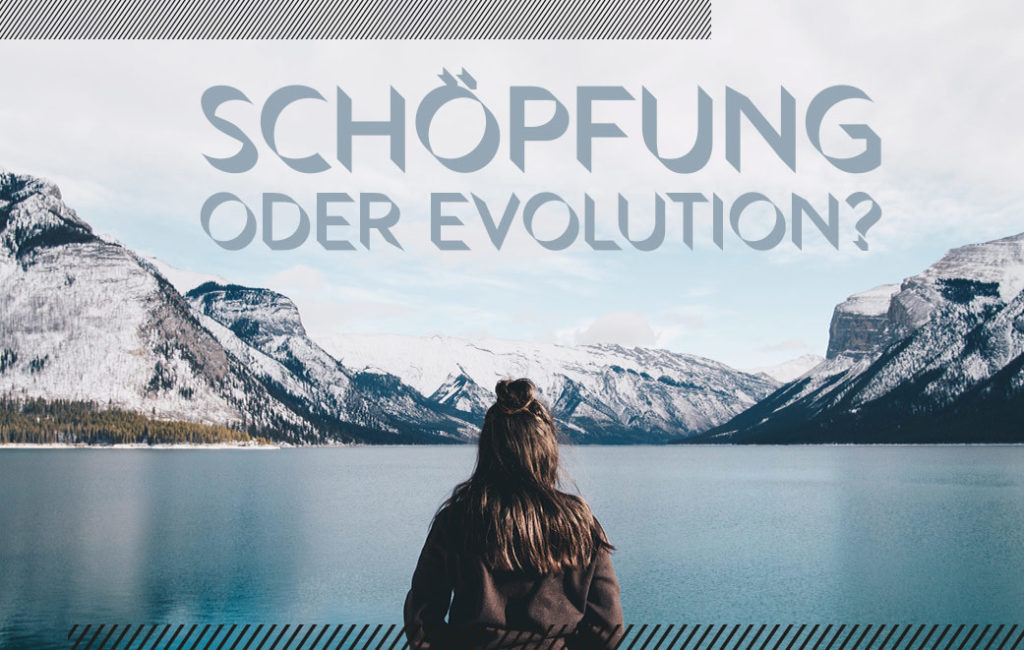 Read more about the article Schöpfung oder Evolution?