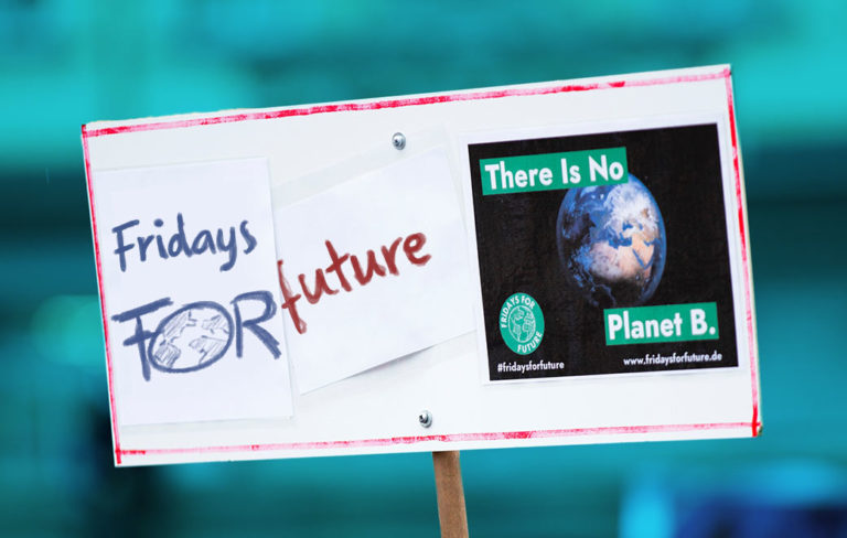 Read more about the article Fridays for Future